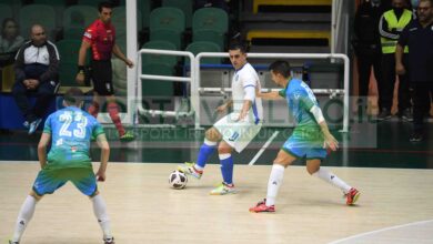 Eduardo Dalcin, Luciano Avellino, Gui