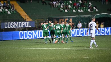 Avellino