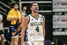 Avellino