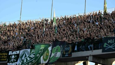 Avellino